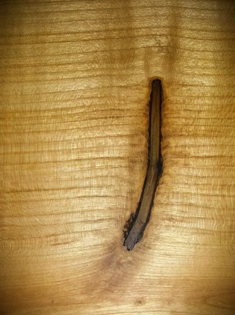 Maserung Holz Kirschbaum