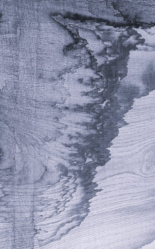 Maserung in Holz Eiche